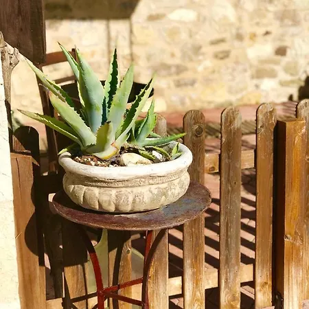Terra Villa